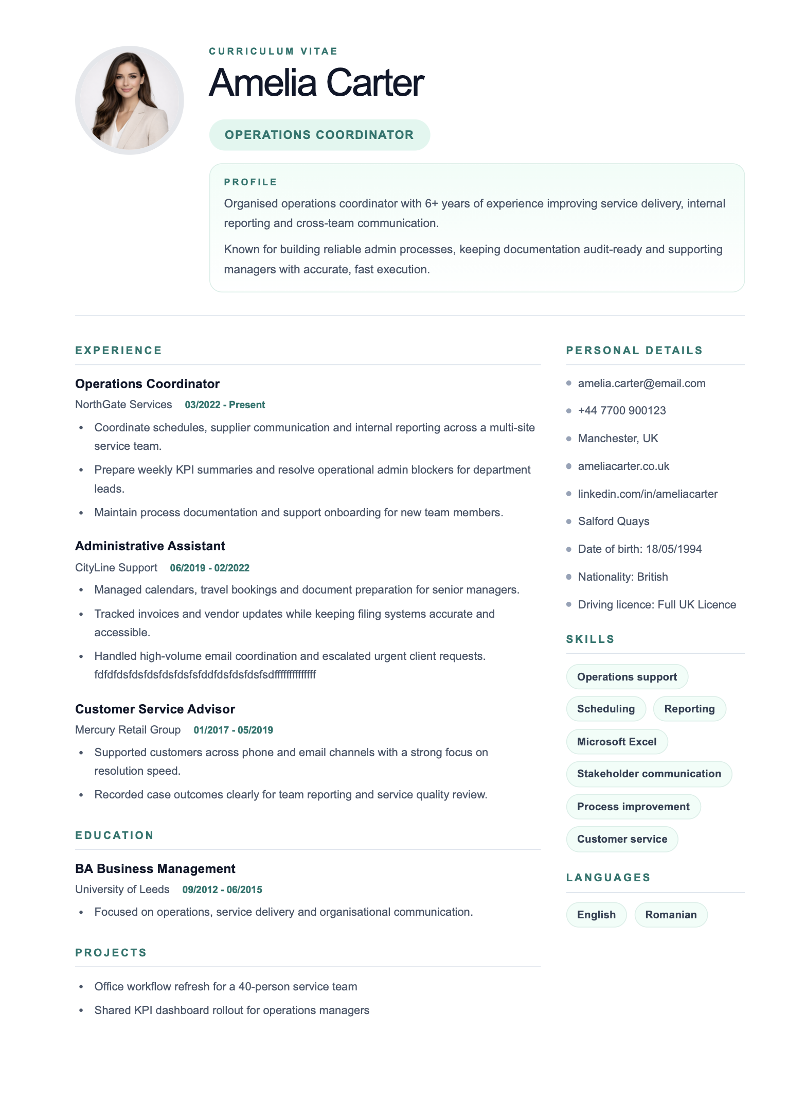 Premium template preview