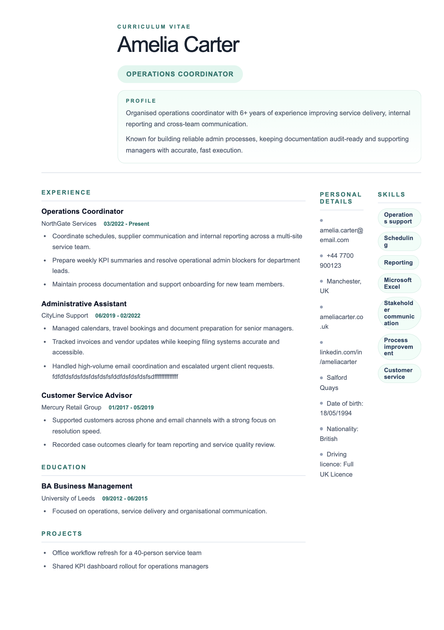 Premium Slate template preview